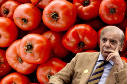 tomato prices on fire opposition in pakistan parliament demanded tomato loan talk of import from india arose