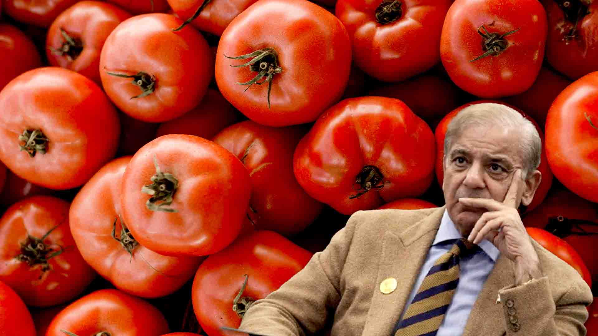 tomato prices on fire opposition in pakistan parliament demanded tomato loan talk of import from india arose