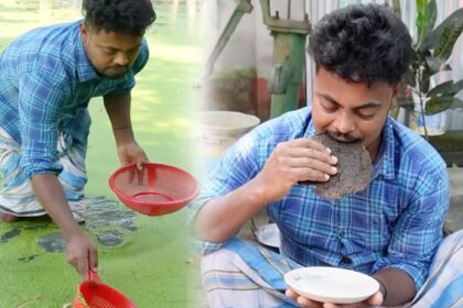 village superfood experiment viral
