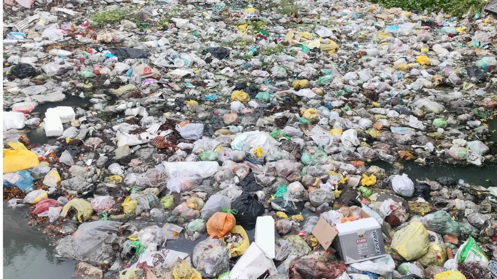 dirtiest cities in india 2025 swachh survekshan report