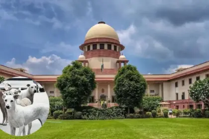 now stray dogs will have to be removed from schools hospitals and railway stations the supreme court has given a big order