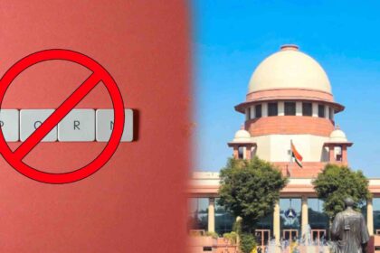 supreme court porn ban petition nepal reference
