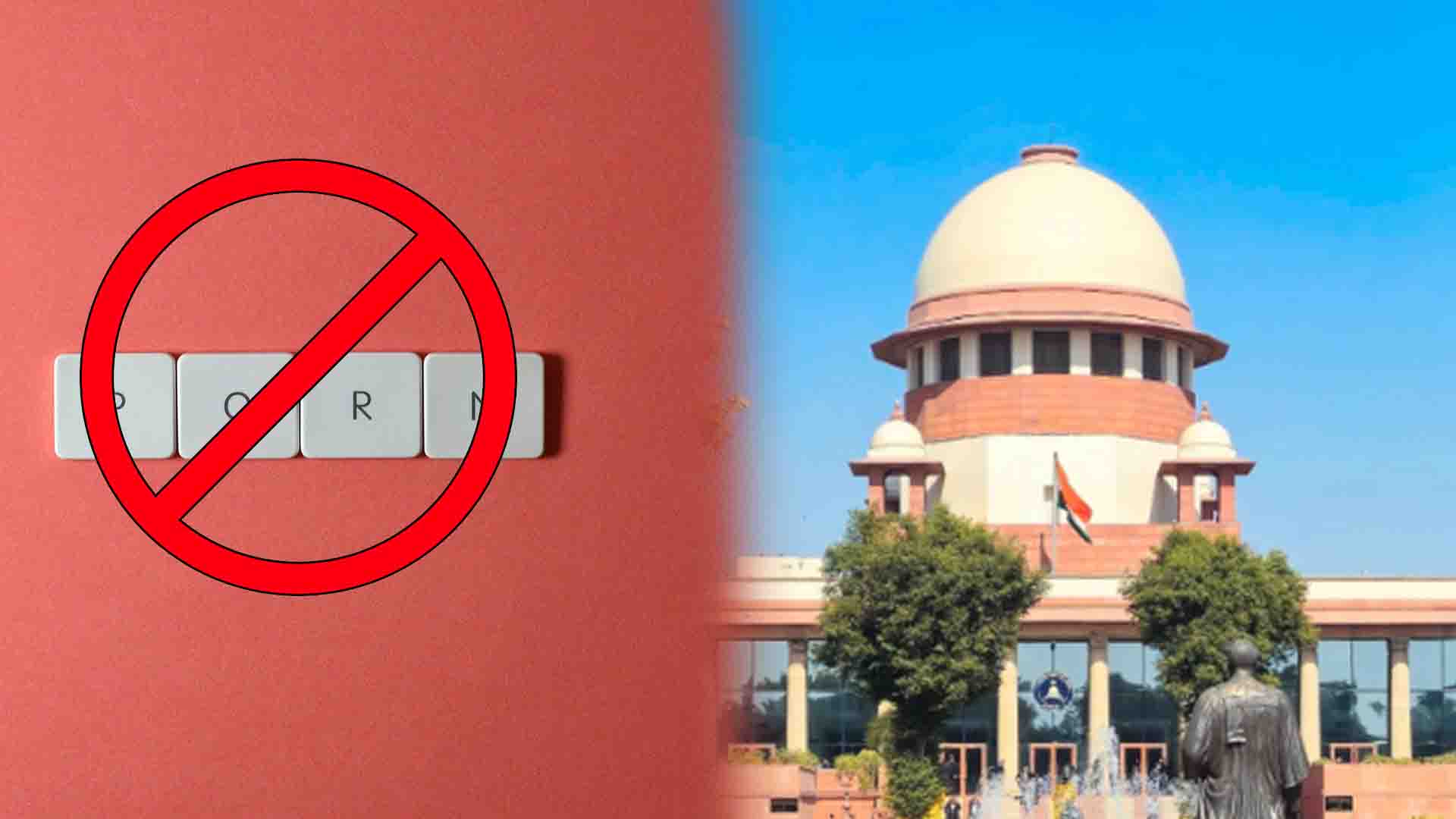 supreme court porn ban petition nepal reference