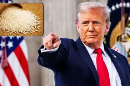 after putins india visit trump mulls new tariffs on indian rice