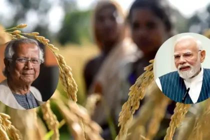 india bangladesh rice deal bangladesh criticizes india yet continues to buy indian rice to fill its stomach