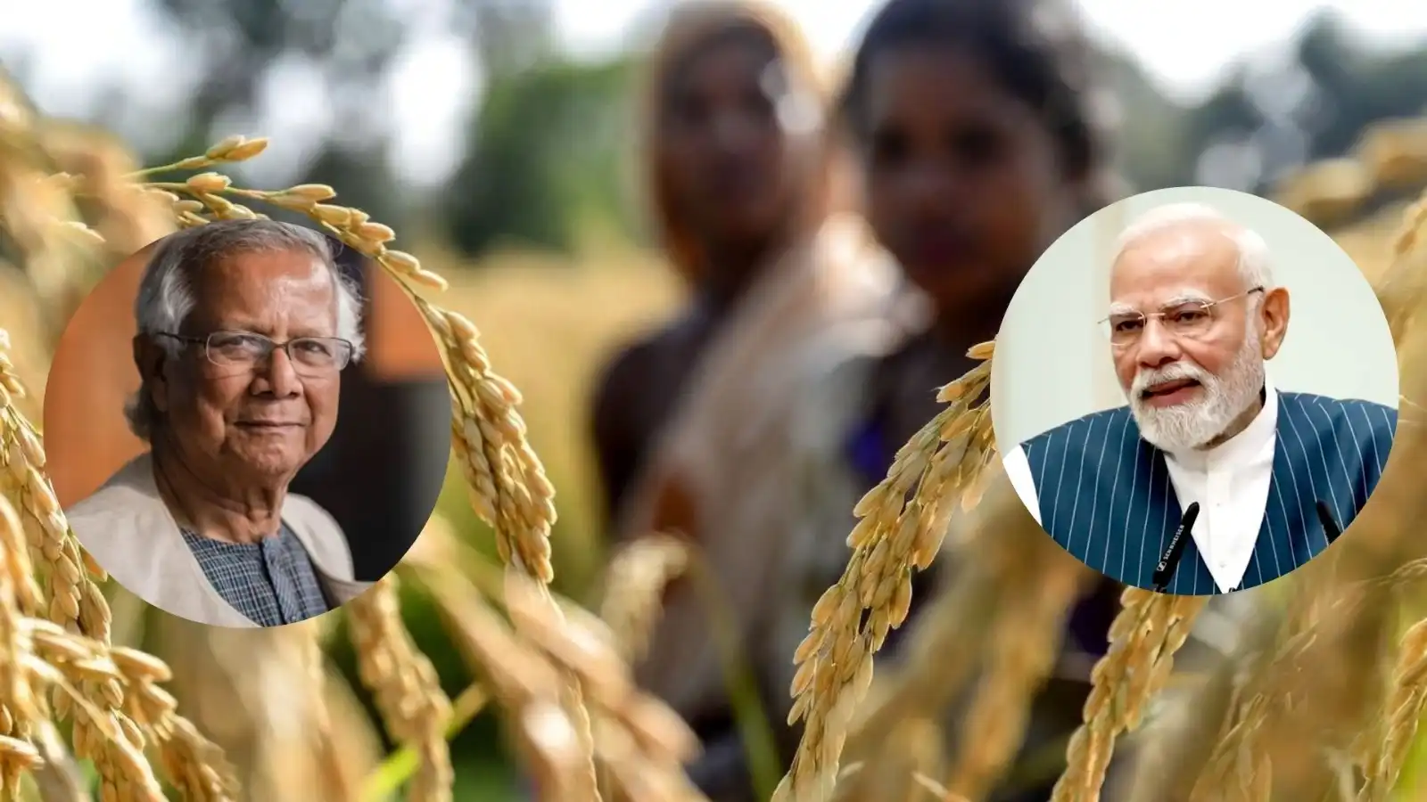 india bangladesh rice deal bangladesh criticizes india yet continues to buy indian rice to fill its stomach