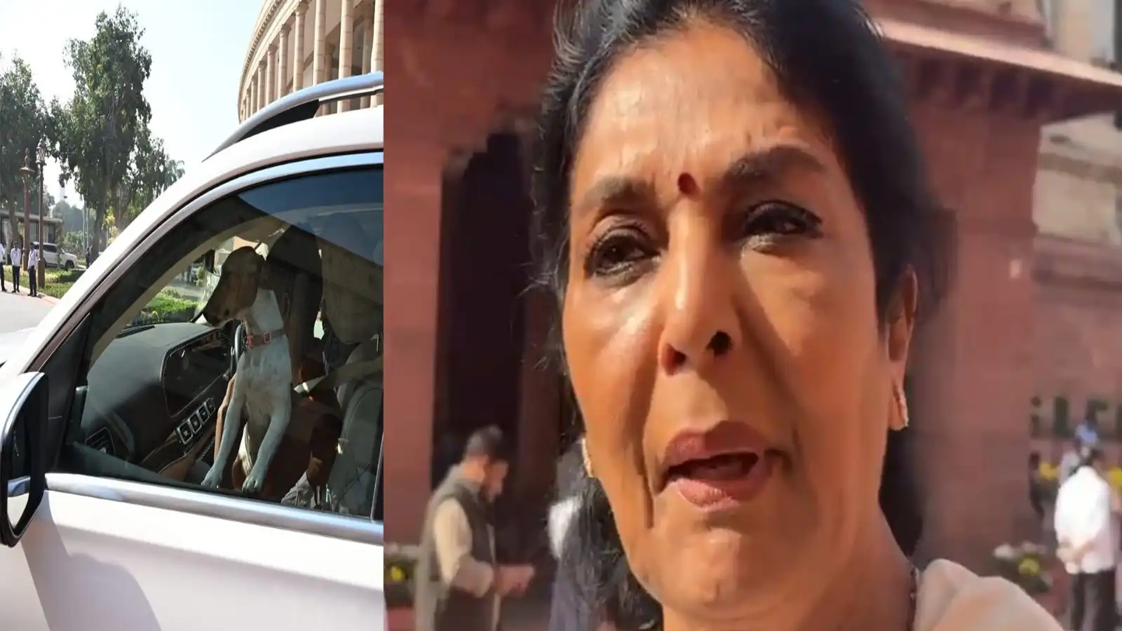 renuka chowdhury brings pet dog to parliament bjp demands action