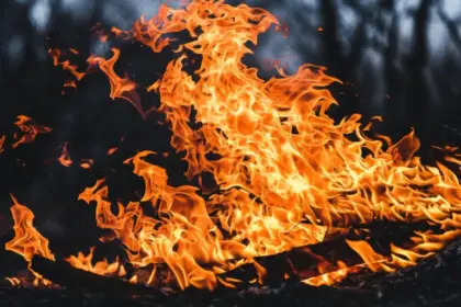 mumbai three family members die in goregaon fire