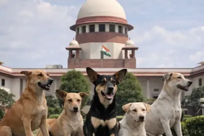 supreme court anger dog feeders ask to take dogs home questions emotions for humans