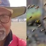 bee swarm attacks during cricket match in up umpire dies tragically on the ground