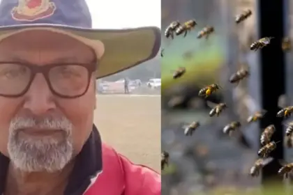 bee swarm attacks during cricket match in up umpire dies tragically on the ground