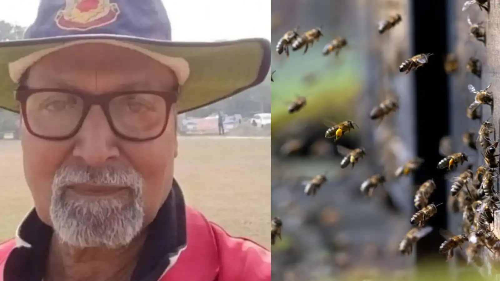 bee swarm attacks during cricket match in up umpire dies tragically on the ground