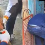 the heartbreaking story of a doctor trapped in his home for a year and a half will bring tears to your eyes
