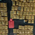 web of death from nepal to sri lanka busted refugee turns out to be drug racket mastermind ncb seizes 10 crore worth of narcotics