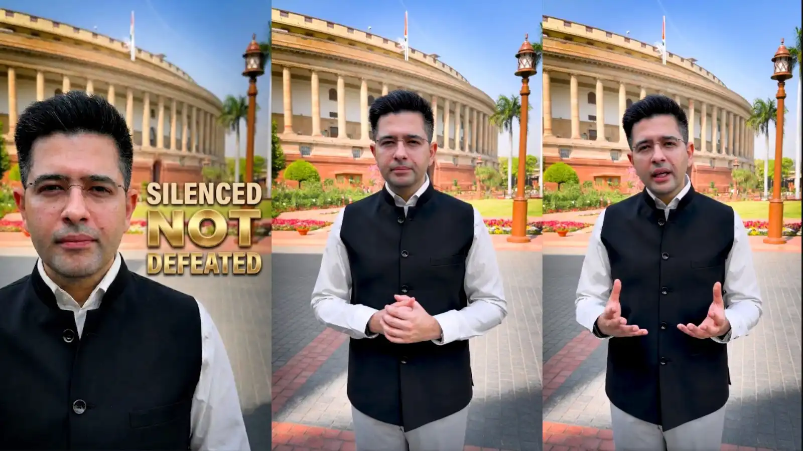 raghav chadha reaction rajyasabha deputy leader removed aap controversy