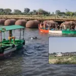 tragic accident in vrindavan boat carrying pilgrims capsizes in yamuna river 6 dead and several missing in the incident