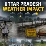 24 killed 15 injured due to rain and lightning in up natural disaster causes havoc