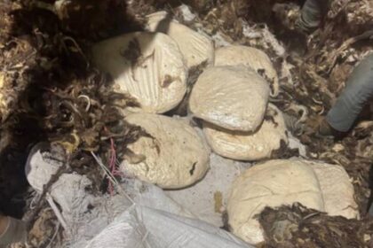 major ncb action jihadi drug captagon seized for the first time big success in operation ragepill