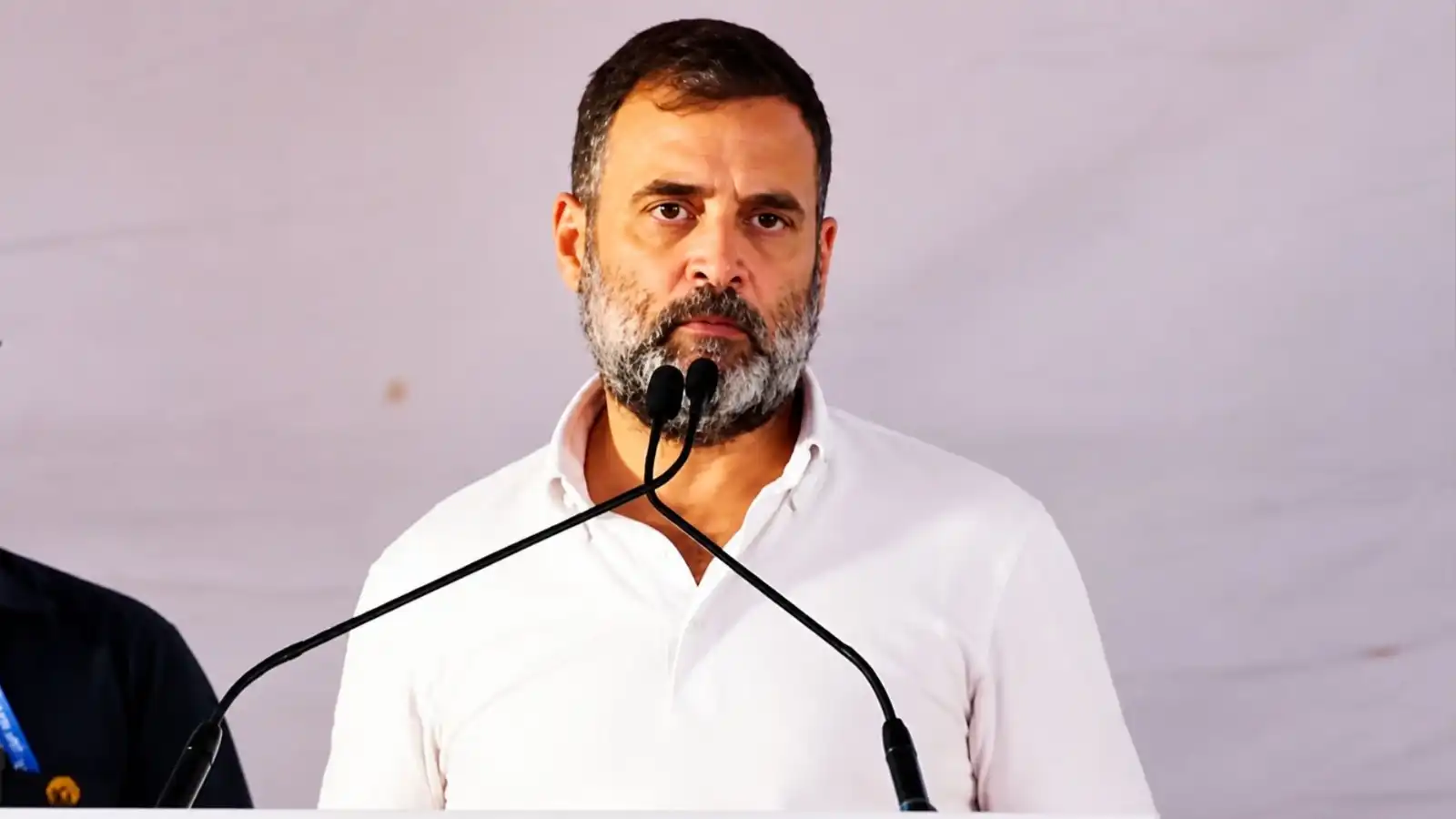 rahul gandhi gets relief from allahabad high court petition for fir over fighting indian state statement rejected