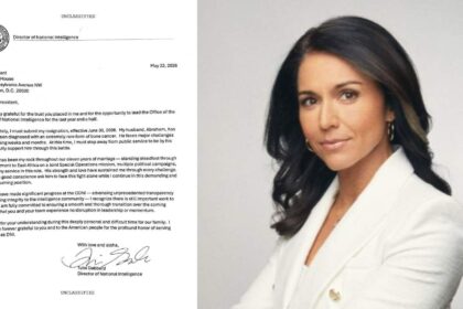 tulsi gabbard resigns from intelligence post cites major reason to trump administration iran reacts